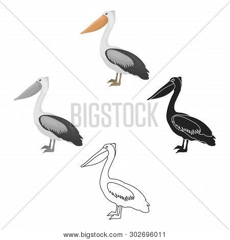 Pelican Icon In Cartoon, Black Style Isolated On White Background. Bird Symbol Stock Vector Illustra