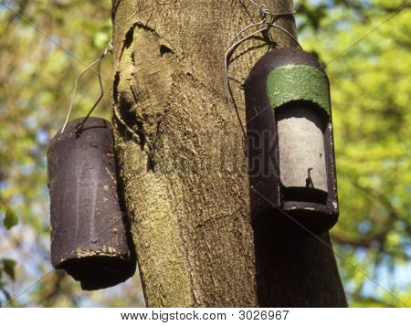 Bat nebo Roosting boxy v Woodland