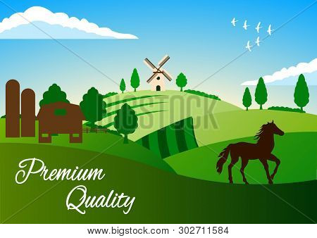 Contry Landscape. Farming. Summer Rural Landscape. Horse, Green Hills, Fields, Trees On A Blue Sky B