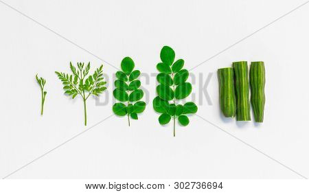 Raw Of Monriga Plant Leaf And Drumstick On White Background.