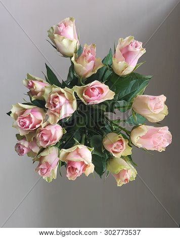 Fresh Bouque Of Pink Roses Top View