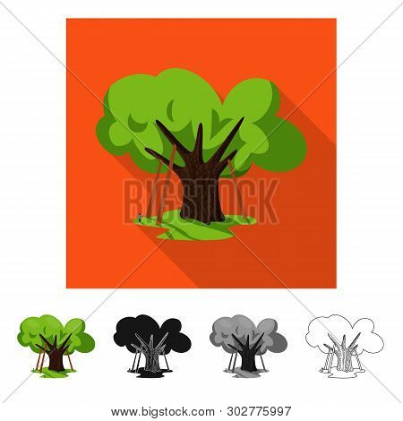 Isolated Object Of Oak And Tree Sign. Set Of Oak And Forest Stock Symbol For Web.