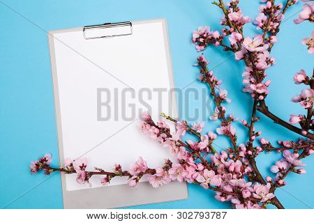 Mock Up Notebook And Sprigs Of The Apricot Tree With Flowers On Pastel Colour Background . Place For
