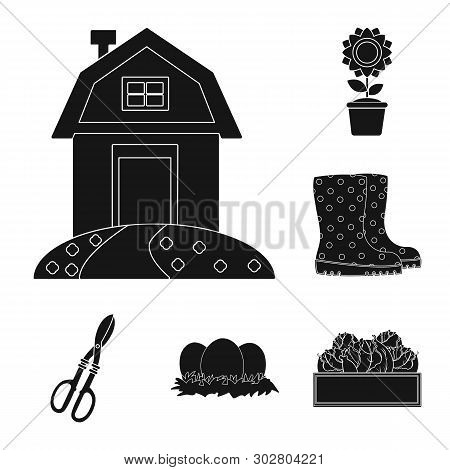 Vector Illustration Of Farm And Agriculture Icon. Set Of Farm And Plant Vector Icon For Stock.