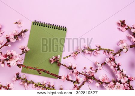 Mock Up Notebook And Sprigs Of The Apricot Tree With Flowers On Pastel Colour Background. He Concept