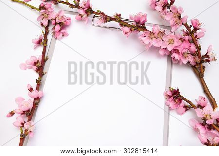 Mock Up Notebook And Sprigs Of The Apricot Tree With Flowers On White Background . Place For Text. T