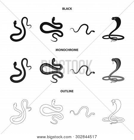 Vector Design Of Mammal And Danger Logo. Collection Of Mammal And Medicine Vector Icon For Stock.