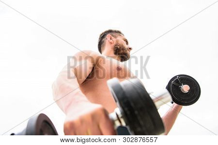 Man Sportsman With Strong Ab Torso. Steroids. Fitness Health Diet. Muscular Man Exercising With Barb