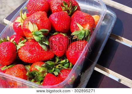Portion Box Of Fresh Juicy Red Strawberry. Berries With Lots Of Vitamins And Microelements. Vegetari