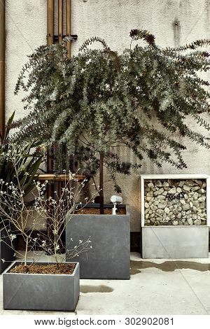Kyoto, Japan - April 16th, 2018: Arrangement Of Plants And Decor At The Rc Hotel In Kyoto.