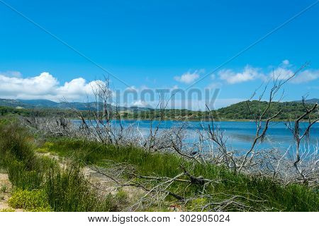Landscape Of Lake Baratz