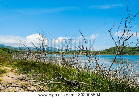 Landscape Of Lake Baratz