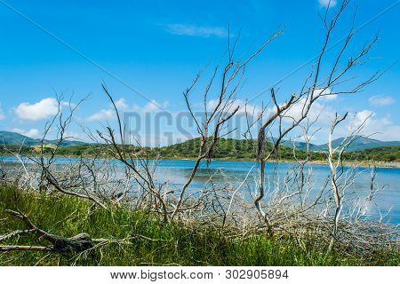Landscape Of Lake Baratz