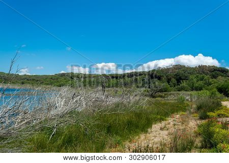 Landscape Of Lake Baratz