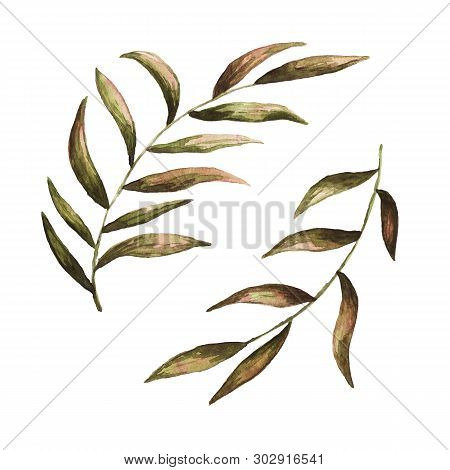 Two Isolated Watercolor Autumnal Branches. Green And Red Shades
