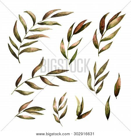 Watercolor Set Of Autumnal Branches. Green And Red Shades