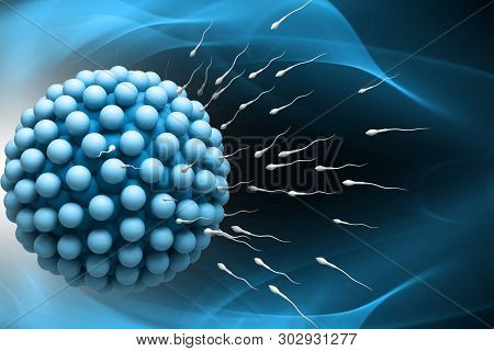 3d Rendered Blastocyst Isolated On A Color Background