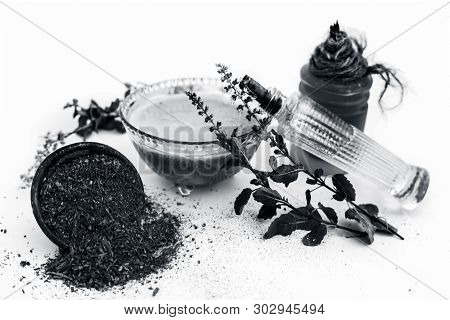 Tulsi Face Pack Isolated On White Consisting Of Sandal Wood Powder Well Mixed With Tulsi Leaves With