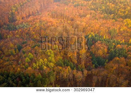 Voderady Beechwood Is A National Nature Reserve. There Are Natural Beech Forests On Relatively Acidi