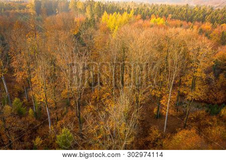 Voderady Beechwood Is A National Nature Reserve. There Are Natural Beech Forests On Relatively Acidi