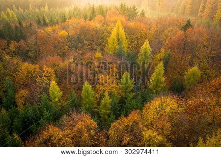 Voderady Beechwood Is A National Nature Reserve. There Are Natural Beech Forests On Relatively Acidi