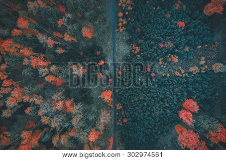 Voderady Beechwood Is A National Nature Reserve. There Are Natural Beech Forests On Relatively Acidi