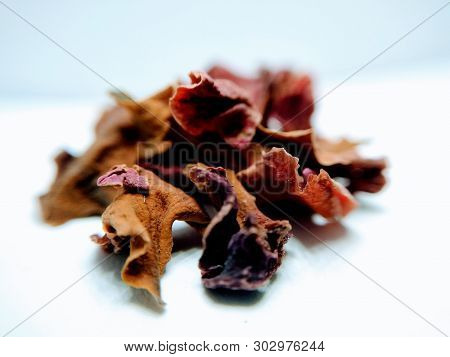 A Picture Of Dry Leafs On White Background