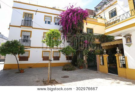 Quiet Courtyard Of Traditional Spanish House . Seville, Andalusia, Spain.