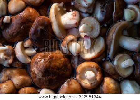 Harvested Peeled Suillus Mushrooms. Autumn Season. Ukraine. Europe.
