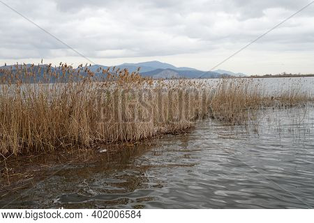 Massaciuccoli - 02/29/2020: Massaciuccoli Tuscany Lake High Level Water