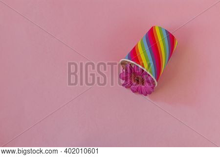 Valentines Day. Paper Cup Rainbow And Gerbera On Soft Pink Background. The Concept Of Gay Pride, Lgb