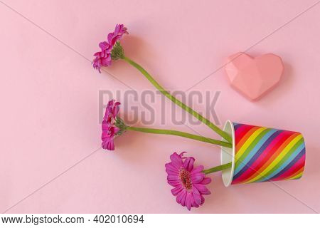 Valentines Day. Paper Cup Rainbow And Gerbera ,heart On Soft Pink Background. The Concept Of Gay Pri