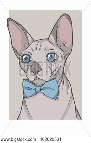 Hairless Sphynx Cat With Blue Bowtie Portrait Vector Graphic Illustration