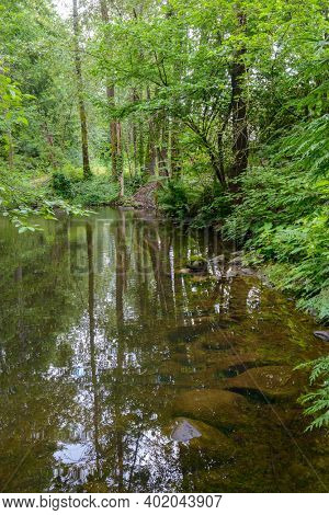 Majestic mountain river in Canada. Traboulay Port Coquitlam Park. Vancouver.