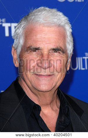 LOS ANGELES - 11 de dic: James Brolin llega al estreno de 
