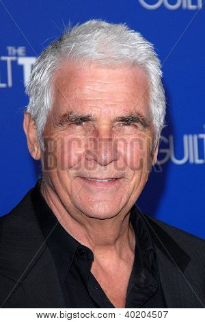 LOS ANGELES - 11 de dic: James Brolin llega al estreno de 