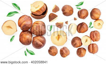 Hazelnuts Isolated On White Background. Top View. Flat Lay
