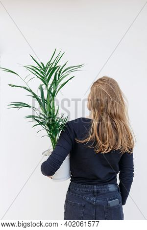 Young Woman Hold Houseplant In Pot. Areca Palm, Spider Plant And Rhipsalis Cactus, Indoor Plants Lif
