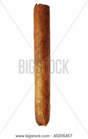 Cuban Cigar