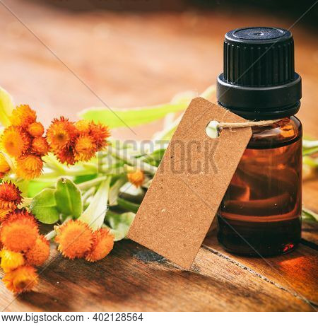 Helichrysum Essential Oil, Fresh Leaves And Blossoms On Wooden Background