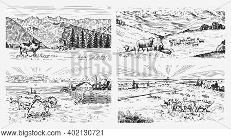 Rural Meadow Set. A Village Landscape With Sheep, Hills And A Farm. Sunny Scenic Country View. Hand 