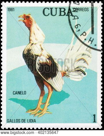 Saint Petersburg, Russia - December 05, 2020: Postage Stamp Issued In The Cuba With The Image Of The