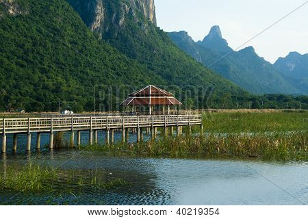 Træ bro i lotus lake i khao sam roi yod national park, thailand