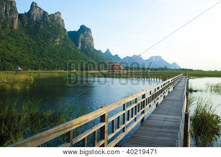 Træ bro i lotus lake i khao sam roi yod national park, thailand