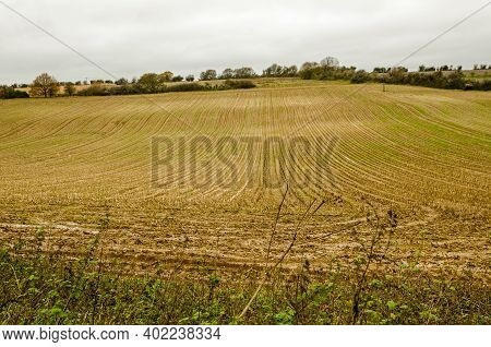 View Along The Furrows Of An Arable Field On A Hill Near Dummer, Basingstoke, Hampshire On A Cloudy 