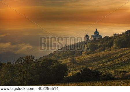 Vineyards In South Moravia Near Mikulov In The Czech Republic. In The Background Is The Holy Hill An