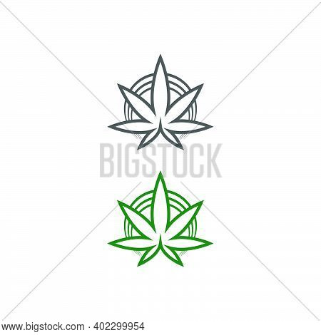 Cannabis Leaf Logo Design Vector Template