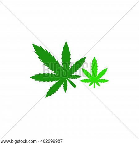 Cannabis Leaf Logo Design Vector Template