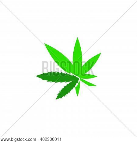 Cannabis Leaf Logo Design Vector Template
