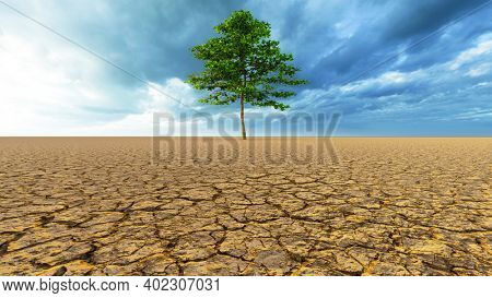 Concept or conceptual desert landscape with a green tree as a metaphor for global warming and climate change. A warning for the need to protect our environment and future 3d illustration